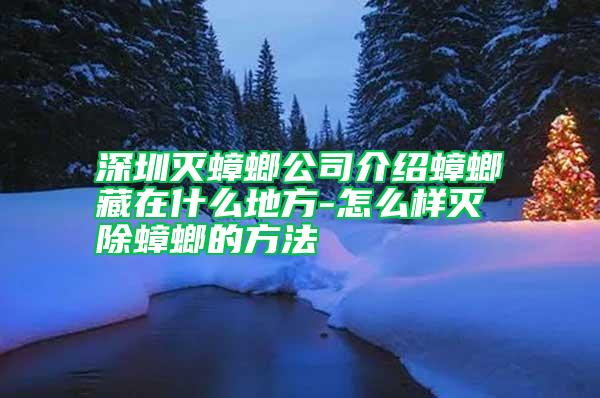 深圳滅蟑螂公司介紹蟑螂藏在什么地方-怎么樣滅除蟑螂的方法