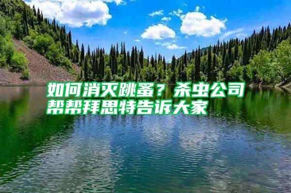 如何消滅跳蚤？殺蟲公司幫幫拜思特告訴大家