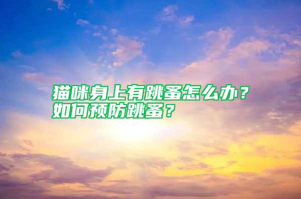 貓咪身上有跳蚤怎么辦？如何預防跳蚤？