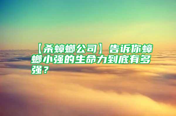 【殺蟑螂公司】告訴你蟑螂小強的生命力到底有多強？
