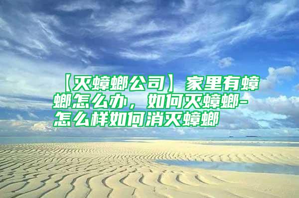 【滅蟑螂公司】家里有蟑螂怎么辦，如何滅蟑螂-怎么樣如何消滅蟑螂