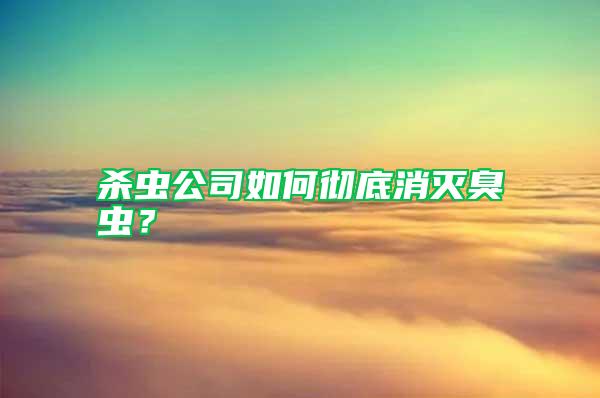 殺蟲公司如何徹底消滅臭蟲？
