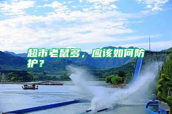 超市老鼠多，應(yīng)該如何防護？