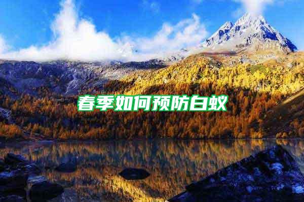 春季如何預(yù)防白蟻