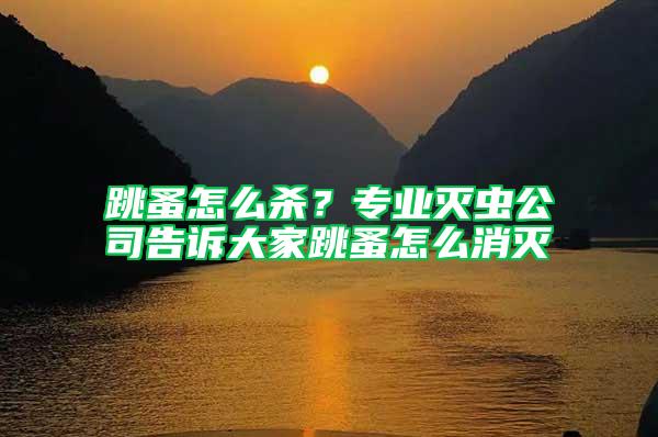 跳蚤怎么殺？專業滅蟲公司告訴大家跳蚤怎么消滅