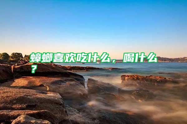 蟑螂喜歡吃什么，喝什么？