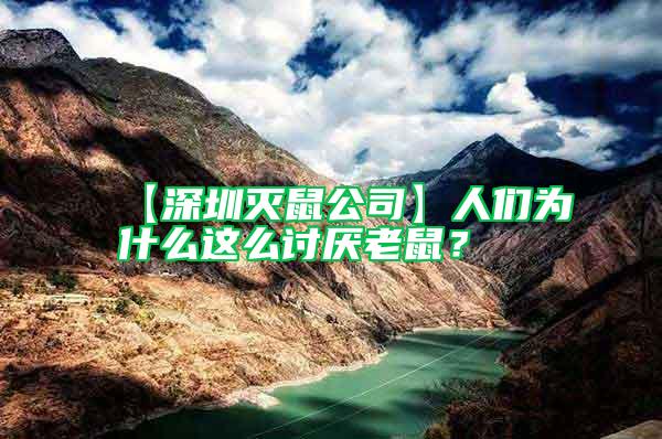 【深圳滅鼠公司】人們為什么這么討厭老鼠？