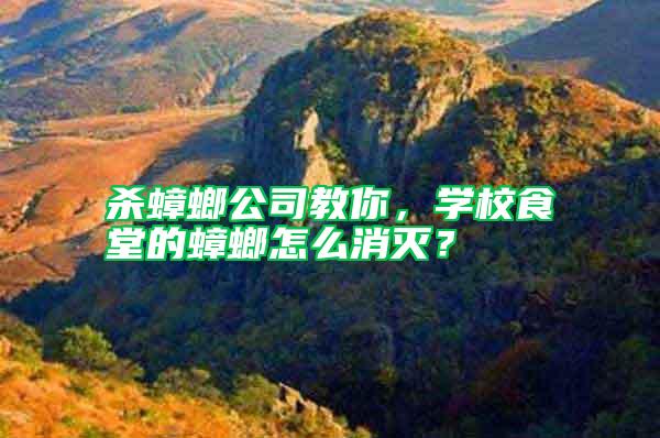 殺蟑螂公司教你，學校食堂的蟑螂怎么消滅？