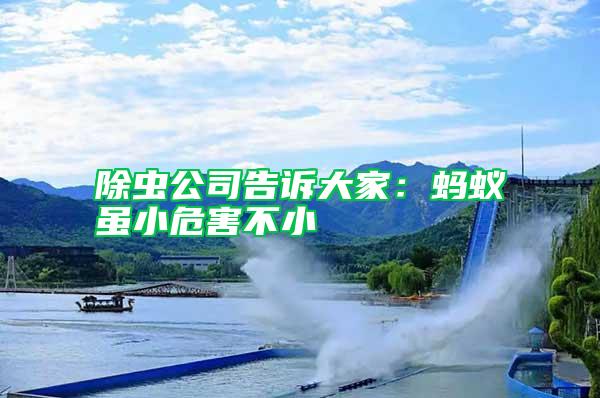除蟲公司告訴大家：螞蟻雖小危害不小