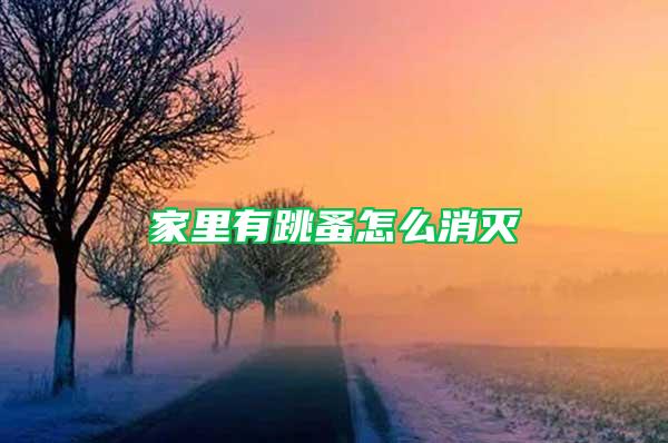 家里有跳蚤怎么消滅