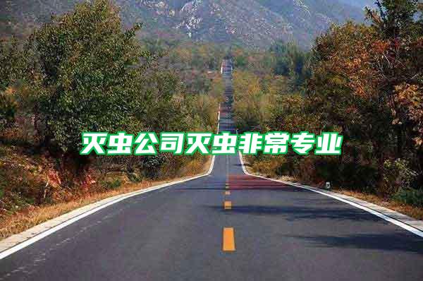 滅蟲公司滅蟲非常專業(yè)