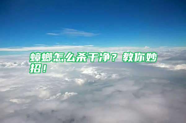 蟑螂怎么殺干凈？教你妙招！