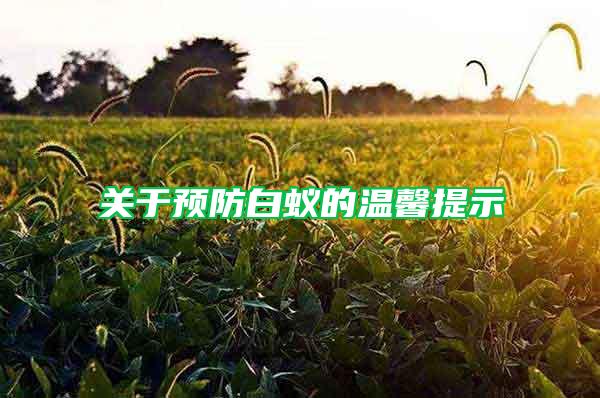 關于預防白蟻的溫馨提示