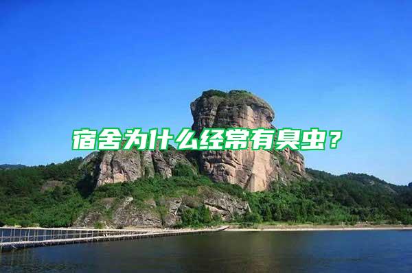 宿舍為什么經(jīng)常有臭蟲？