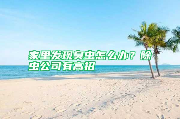 家里發現臭蟲怎么辦？除蟲公司有高招