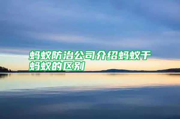 螞蟻防治公司介紹螞蟻于螞蟻的區別