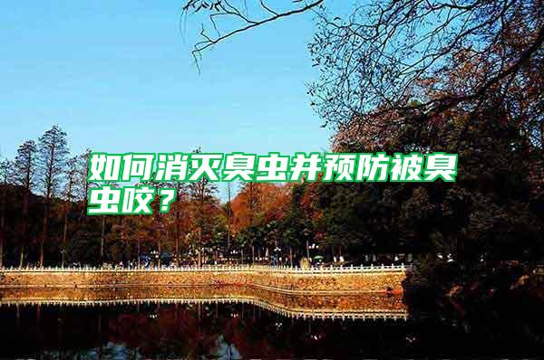 如何消滅臭蟲并預(yù)防被臭蟲咬？