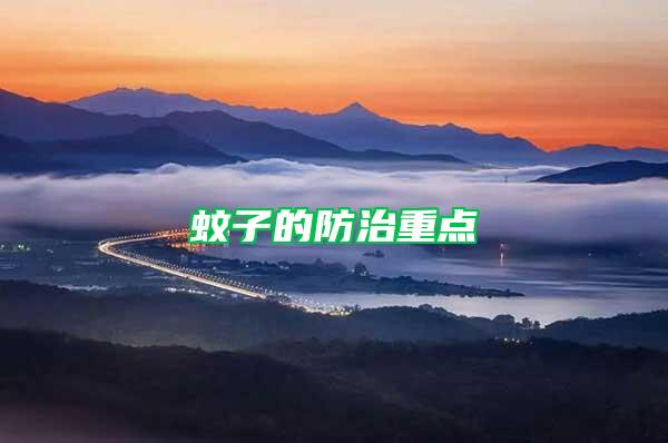 蚊子的防治重點(diǎn)