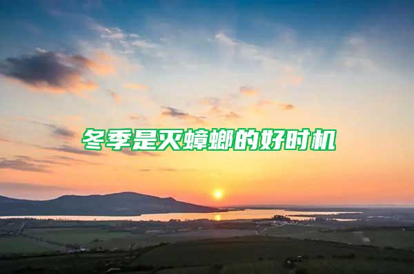 冬季是滅蟑螂的好時機