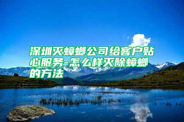 深圳滅蟑螂公司給客戶貼心服務(wù)-怎么樣滅除蟑螂的方法