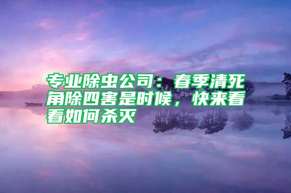 專業除蟲公司：春季清死角除四害是時候，快來看看如何殺滅