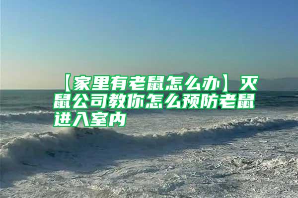 【家里有老鼠怎么辦】滅鼠公司教你怎么預防老鼠進入室內