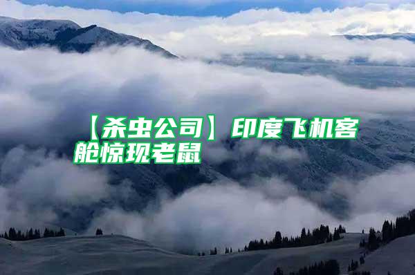 【殺蟲公司】印度飛機(jī)客艙驚現(xiàn)老鼠