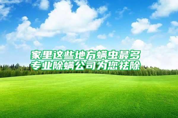 家里這些地方螨蟲最多 專業(yè)除螨公司為您祛除