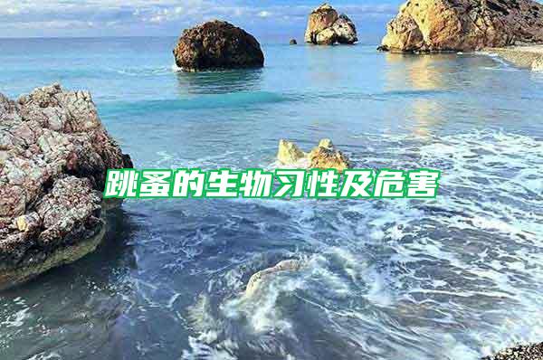 跳蚤的生物習(xí)性及危害