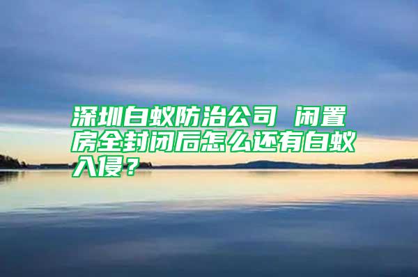深圳白蟻防治公司 閑置房全封閉后怎么還有白蟻入侵？