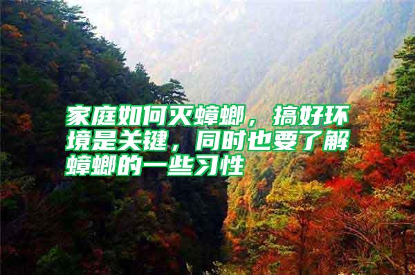 家庭如何滅蟑螂，搞好環(huán)境是關(guān)鍵，同時(shí)也要了解蟑螂的一些習(xí)性