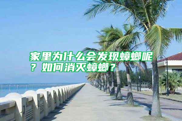 家里為什么會發現蟑螂呢？如何消滅蟑螂？