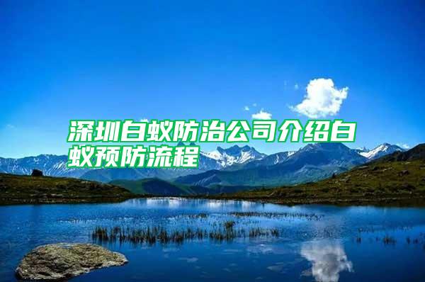 深圳白蟻防治公司介紹白蟻預(yù)防流程