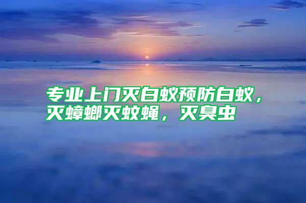 專業上門滅白蟻預防白蟻，滅蟑螂滅蚊蠅，滅臭蟲