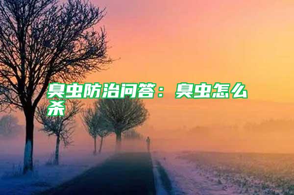 臭蟲(chóng)防治問(wèn)答：臭蟲(chóng)怎么殺