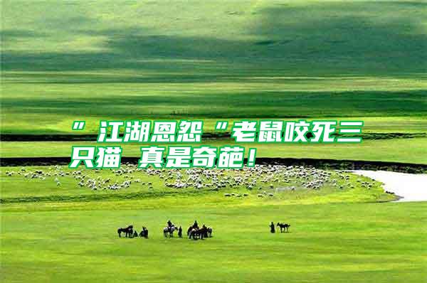 ”江湖恩怨“老鼠咬死三只貓 真是奇葩！