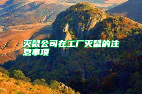 滅鼠公司在工廠滅鼠的注意事項(xiàng)