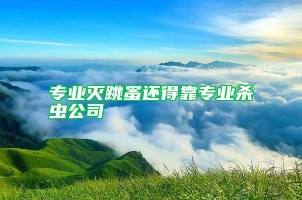 專業滅跳蚤還得靠專業殺蟲公司