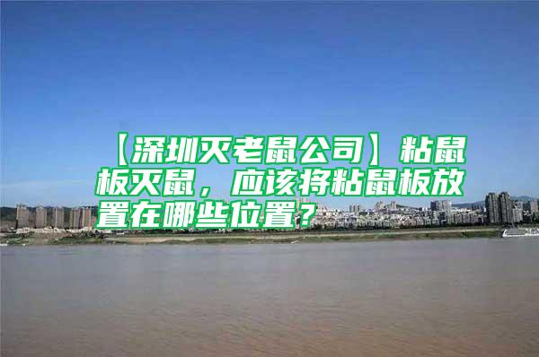 【深圳滅老鼠公司】粘鼠板滅鼠，應該將粘鼠板放置在哪些位置？