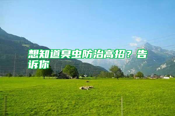 想知道臭蟲(chóng)防治高招？告訴你