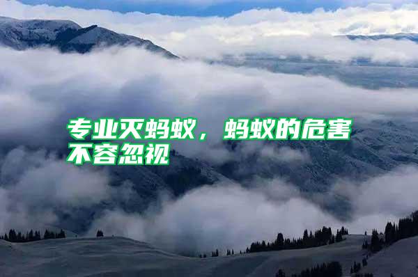 專業滅螞蟻，螞蟻的危害不容忽視