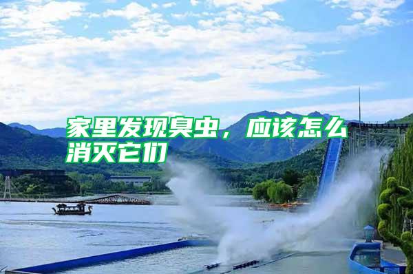 家里發(fā)現(xiàn)臭蟲，應(yīng)該怎么消滅它們