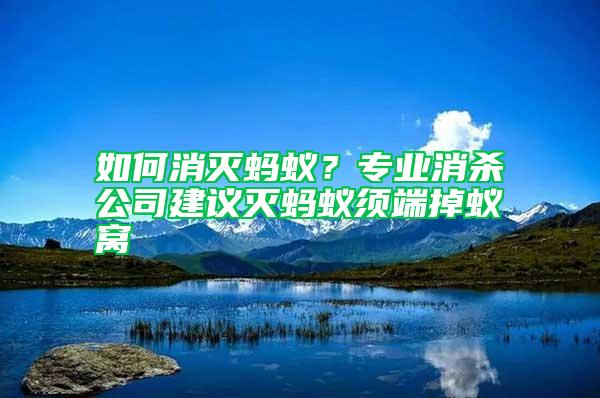如何消滅螞蟻？專業消殺公司建議滅螞蟻須端掉蟻窩