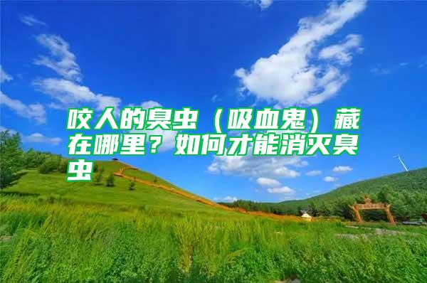 咬人的臭蟲(chóng)（吸血鬼）藏在哪里？如何才能消滅臭蟲(chóng)