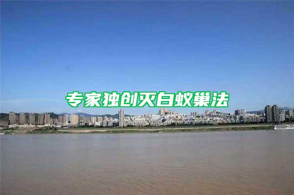 專家獨創滅白蟻巢法