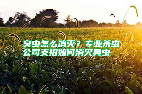 臭蟲怎么消滅？專業(yè)殺蟲公司支招如何消滅臭蟲