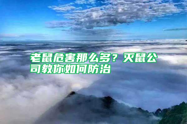 老鼠危害那么多？滅鼠公司教你如何防治
