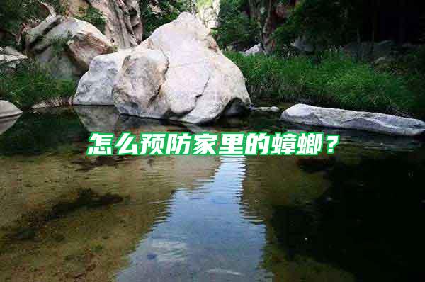 怎么預(yù)防家里的蟑螂？