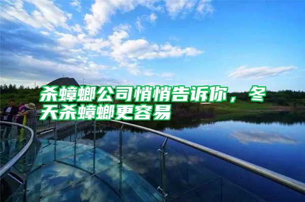 殺蟑螂公司悄悄告訴你，冬天殺蟑螂更容易