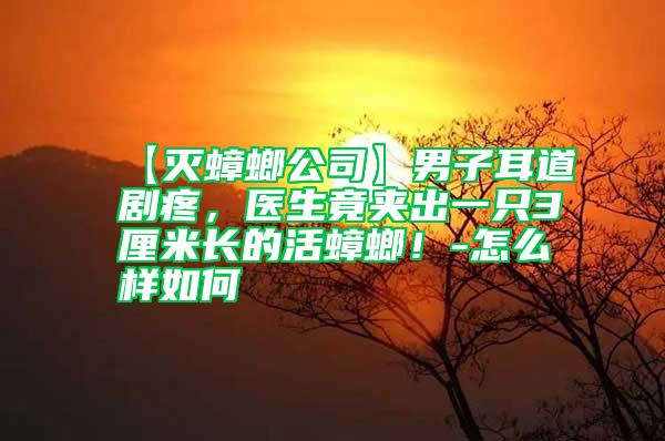 【滅蟑螂公司】男子耳道劇疼，醫生竟夾出一只3厘米長的活蟑螂！-怎么樣如何